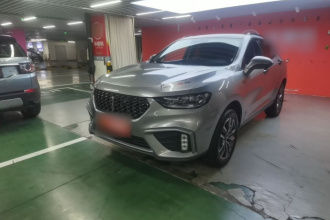 魏牌 VV5 2020款 1.5T 两驱智先锋