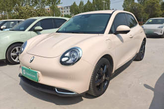 欧拉好猫 2024款 401km 豪华型