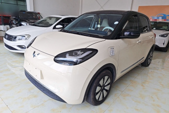 五菱汽车 五菱缤果 2025款 333km 悦享款