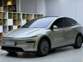 特斯拉 Model Y L 2025款 长续航全轮驱动版