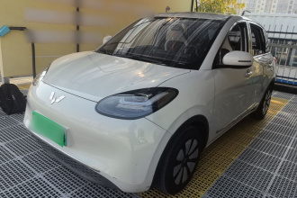 五菱汽车 五菱缤果 2023款 203km 舒享款