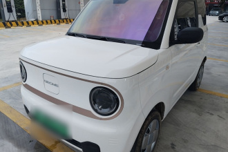 吉利银河 2024款 熊猫mini 200km 耐力熊