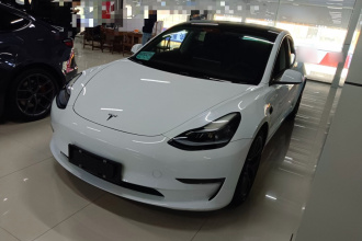 特斯拉 Model 3 2021款 Performance高性能全轮驱动版 3D6