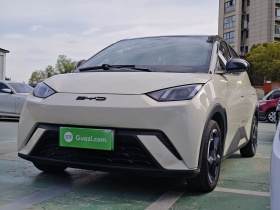 比亚迪 海鸥 2023款 自由版