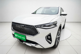 哈弗F7x 2021款 1.5T 两驱极智潮玩版