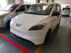 五菱汽车 五菱宏光新能源 2024款 纯电版 300KM 标准型