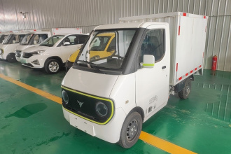 大力牛魔王D02 2023款 120km 厢式舒适型