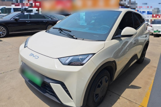 比亚迪 海鸥 2025款 305km 活力版
