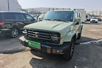 坦克300 2021款 城市版 2.0T 很有型