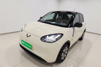 五菱汽车 五菱缤果 2025款 333km 灵犀尊享款