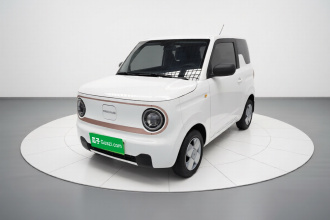 吉利银河 2024款 熊猫mini 200km 耐力熊