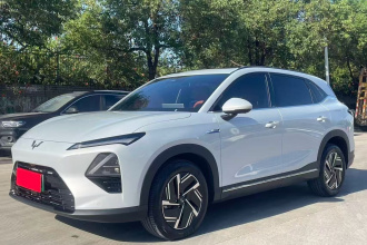 五菱汽车 五菱星光S 2025款 130km 高功率旗舰型