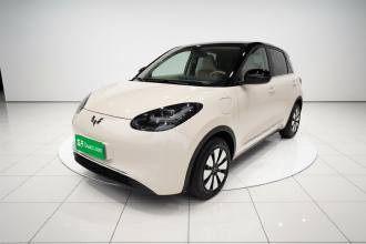 五菱汽车 五菱缤果 2025款 333km 灵犀互联款