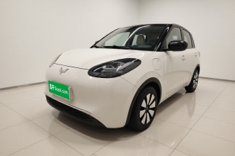 五菱汽车 五菱缤果 2024款 333km 悦享款