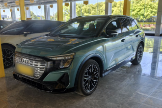 奥迪Q5 e-tron 2022款 40 e-tron 星耀型 锦衣套装 逐日版