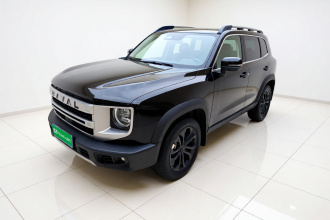 哈弗大狗 2022款 1.5T DCT两驱边牧版