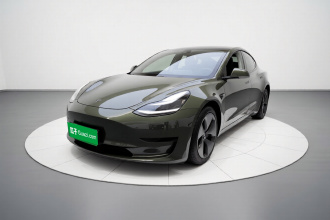特斯拉 Model 3 2020款 改款 标准续航后驱升级版