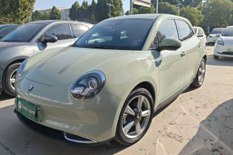 欧拉好猫 2023款 401km标准续航 尊荣型 磷酸铁锂