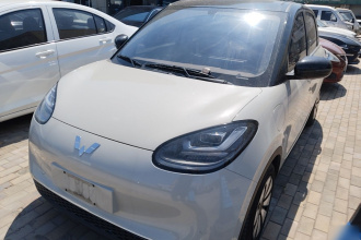 五菱汽车 五菱缤果 2024款 333km 悦享款