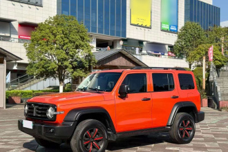 坦克300 2021款 越野版 2.0T 征服者