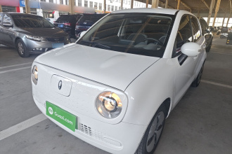 欧拉黑猫 2022款 301km 基础型 三元锂