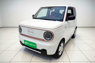 吉利银河 2024款 熊猫mini 200km 耐力熊