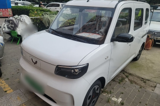 五菱汽车 五菱之光新能源 2025款 305km 进取型