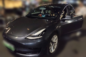 特斯拉 Model 3 2019款 标准续航后驱升级版