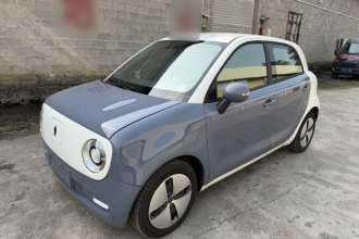 欧拉黑猫 2021款 301km 基础型