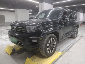 坦克700新能源 2024款 Hi4-T 极境版