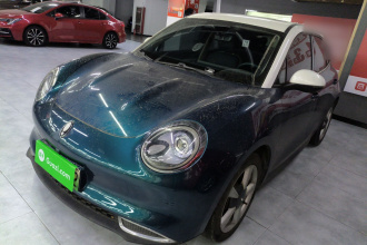 欧拉好猫 2021款 400km标准续航 维纳斯版 磷酸铁锂