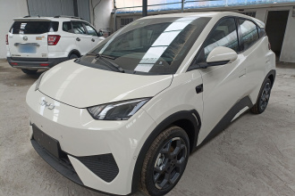 比亚迪 海鸥 2025款 智驾版 305km 自由版