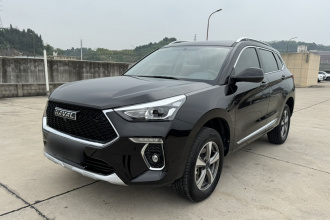 哈弗H6 Coupe 2021款 智联版 1.5T 自动两驱精英型