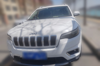 Jeep 自由光 2020款 2.0T 两驱领先版