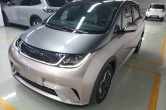 比亚迪 海豚 2021款 405km 时尚版