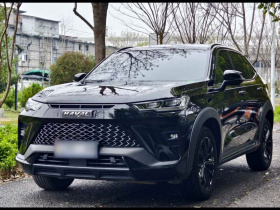 哈弗H6S 2022款 2.0T 两驱智跑版