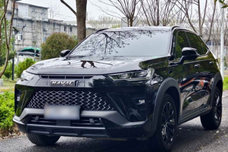 哈弗H6S 2022款 2.0T 两驱智跑版