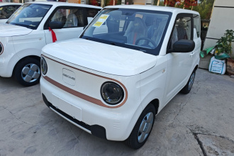 吉利银河 2024款 熊猫mini 200km 耐力熊