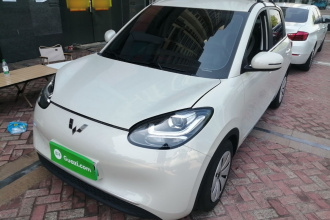 五菱汽车 五菱缤果 2023款 203km 轻享款