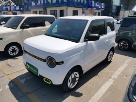 吉利银河 2025款 熊猫mini 210km 元气熊