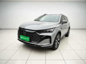 比亚迪 唐新能源 2025款 智驾版 DM-i 115KM 旗舰型