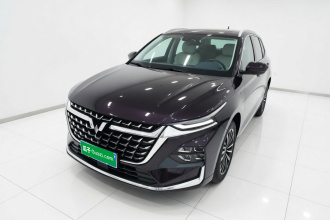 五菱汽车 五菱凯捷 2023款 2.0L DHT奢享型