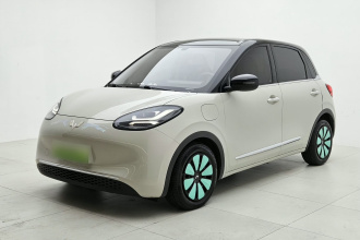 五菱汽车 五菱缤果 2024款 333km 悦享款
