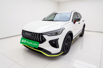 哈弗赤兔 2021款 激擎版 1.5T 铂金兔