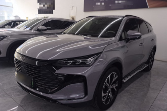 比亚迪 唐新能源 2025款 DM-i 115KM 尊贵型