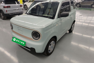 吉利银河 2024款 熊猫mini 200km 耐力熊