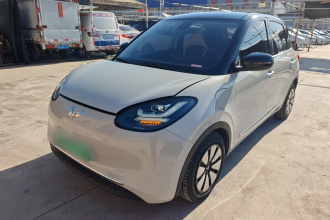 五菱汽车 五菱缤果 2023款 333km 悦享+款