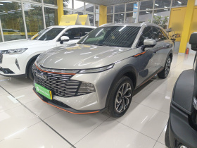 哈弗神兽 2022款 1.5T 智享版