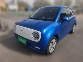 欧拉黑猫 2019款 351km 灵趣版