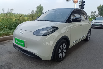 五菱汽车 五菱缤果 2023款 333km 灵犀互联款